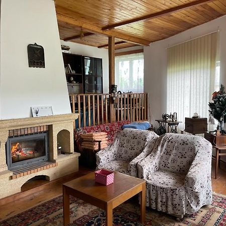 Vila Casa Adelina Valea Lunga-Cricov Exteriér fotografie