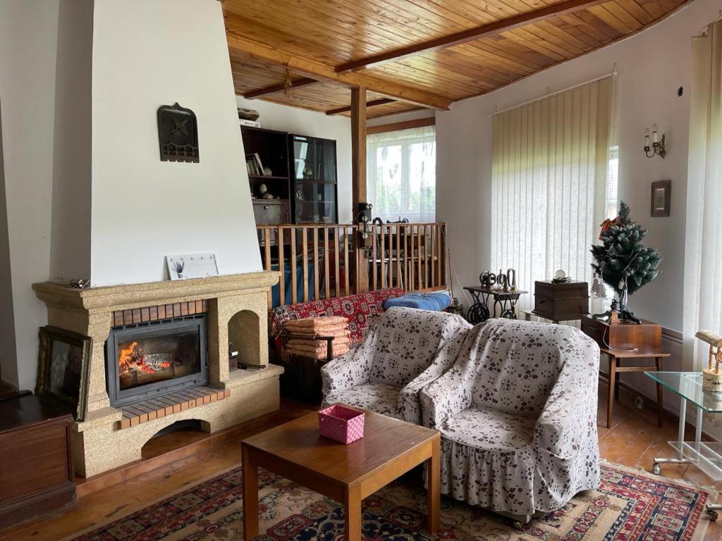 Vila Casa Adelina Valea Lunga-Cricov Exteriér fotografie