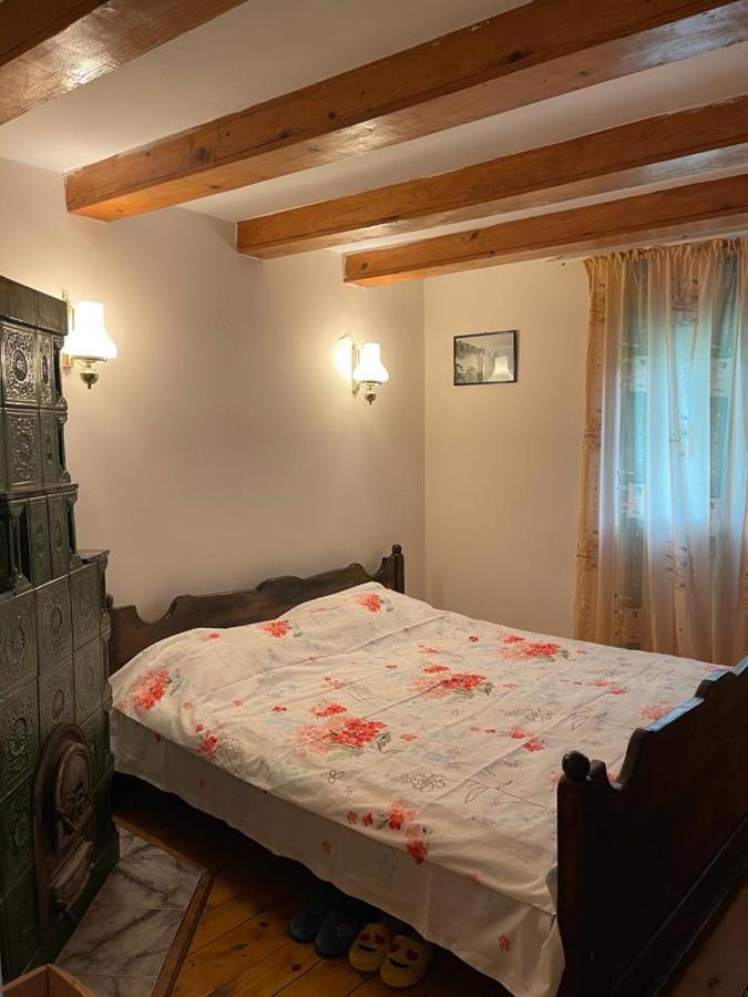 Vila Casa Adelina Valea Lunga-Cricov Exteriér fotografie