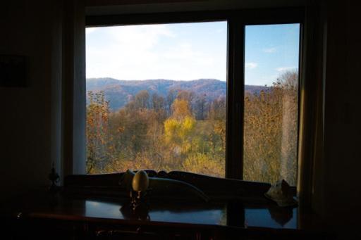 Vila Casa Adelina Valea Lunga-Cricov Exteriér fotografie