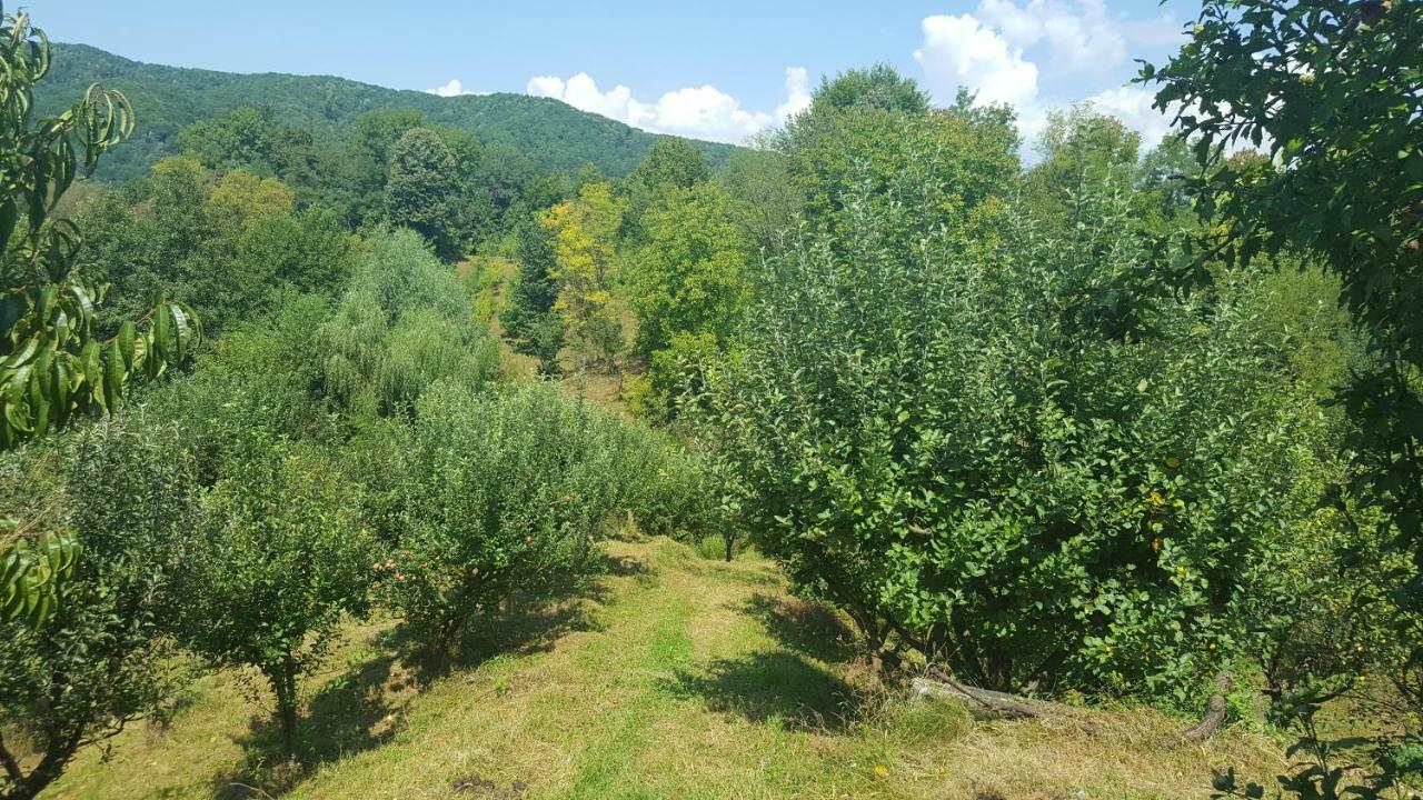 Vila Casa Adelina Valea Lunga-Cricov Exteriér fotografie